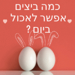 כמה ביצים אפשר לאכול ביום אתר הבריאות והתזונה של ישראל