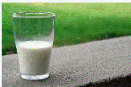 מוצרי חלב לסוכרתיים מותר או אסור